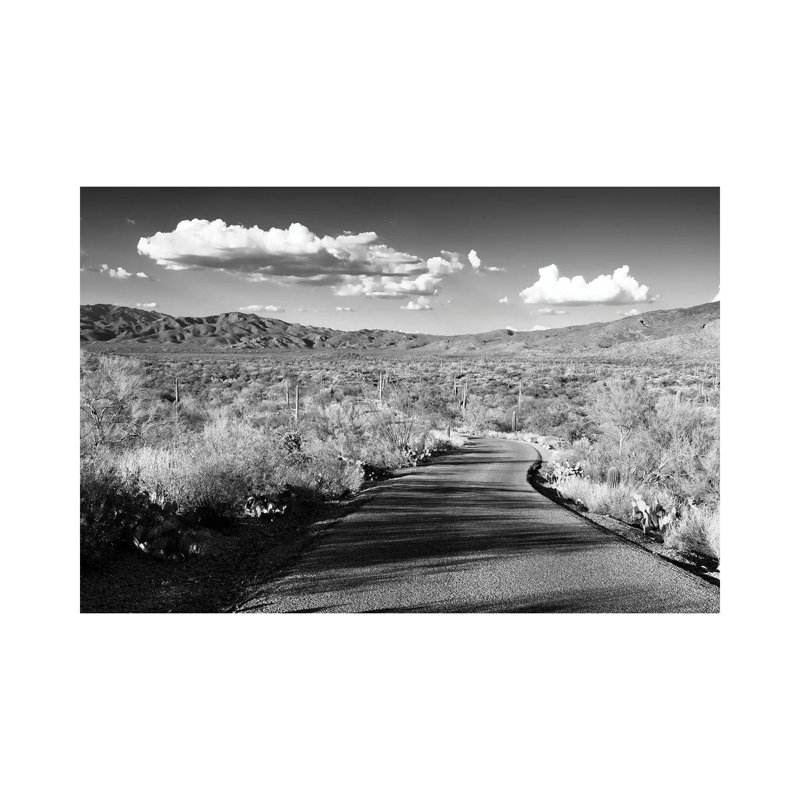 Black Arizona Series - Desert Crossing - Wrapped Canvas Print, 20.32 cm H x 30.48 cm W
