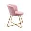 48cm H Velvet Upholstered Armchair-2041323244