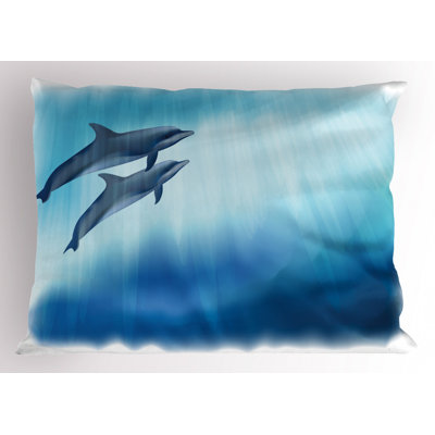 Dolphin Sham