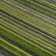 Tarren Striped Hand Woven Area Rug