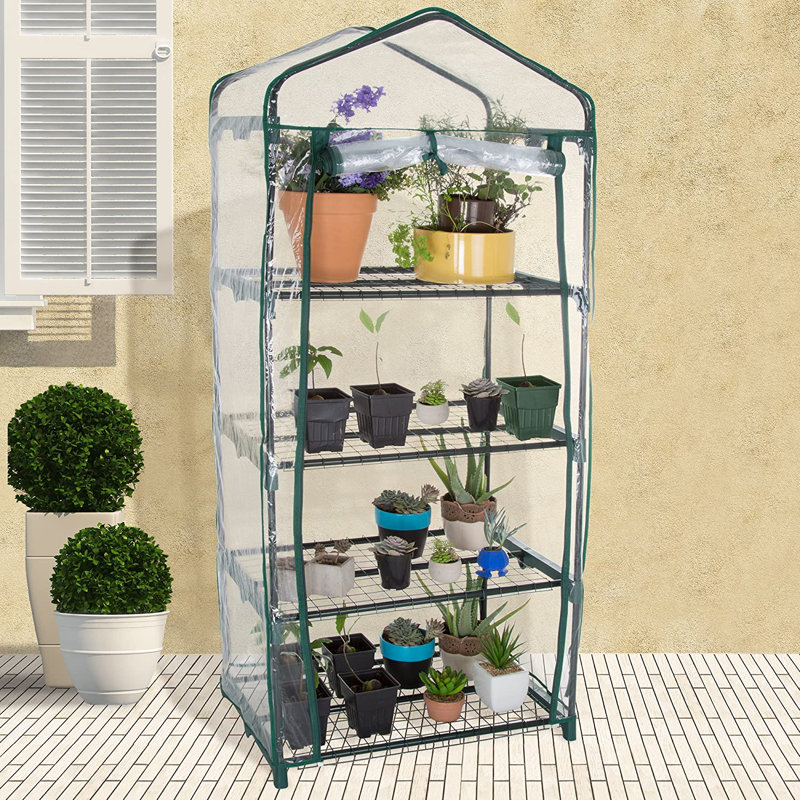Compact 5' Green Mini Greenhouse with Roll-Up Door and Mesh Shelves