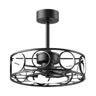 Caged Ceiling Fans With Lights Remote Control, Small Farmhouse Ceiling Fans With Light 3 Color Temperature