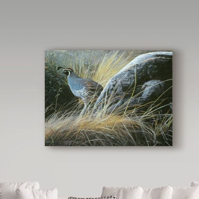 «California Quail» par Etelca, impression sur toile tendue