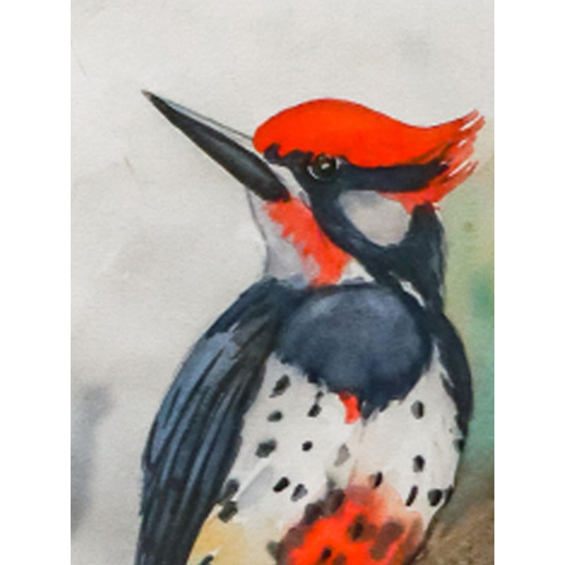 Pic-oiseau | Acrylique sur papier | Par Dinesh Attry | Avec cadre