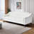 Delonia 79.92'' Velvet Sofa