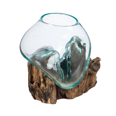 Cyrilmagnin Terrarium