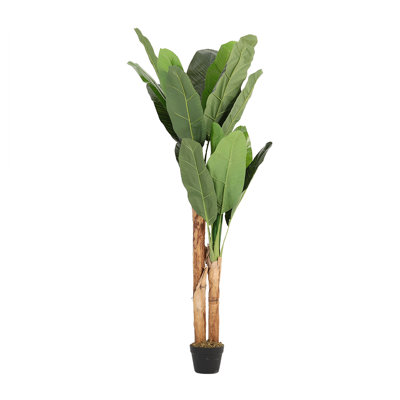 150cm Faux Banana Leaf Tree in Planter