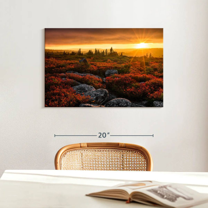 Alvord Dolly Sods Sunset, H 16 po x l 24 po