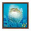 Puffer Fish by Durwood Coffey - Painting on Canvas-42154548-56674734