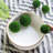 Lynne Decorative Bowl 1