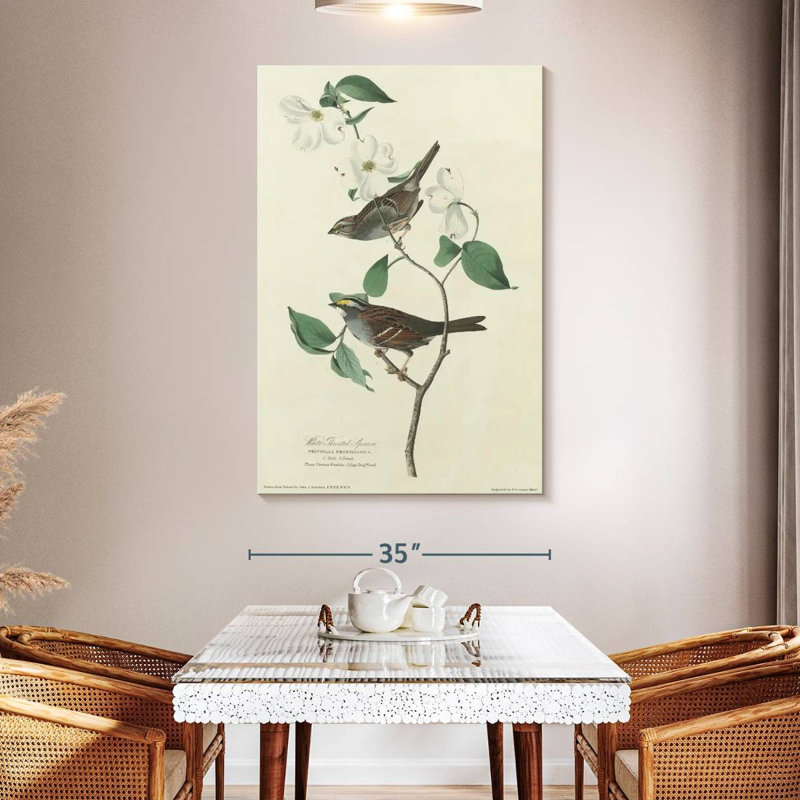 Brampt White Throated Sparrow, 51" H x 34" W