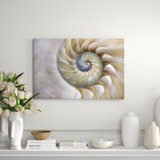 Sea Shell Swirl Print