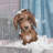" I Just Peed " Painting Print-753370404
