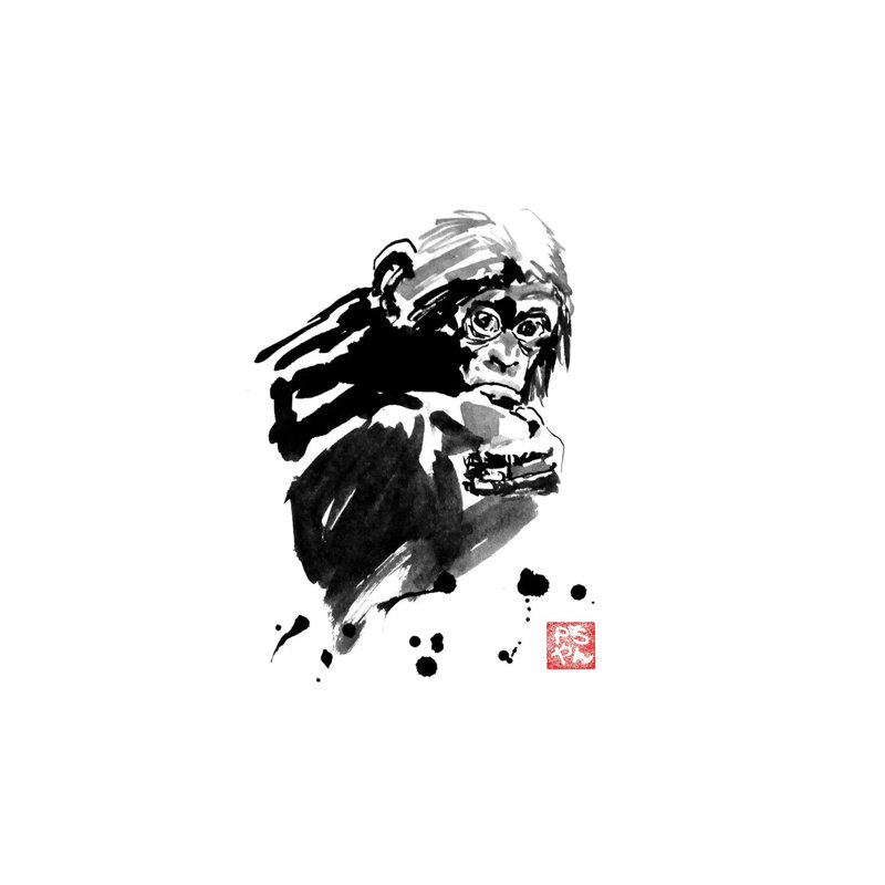 Monkey by Péchane - Wrapped Canvas Print, 45.72cm H x 30.48cm W x 1.91cm D