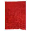 Tapis rouge Iraheta