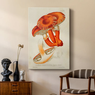 Champignon Variétés VII - Cavas de galerie sur mesure