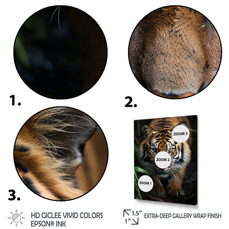 «Beige Black Tiger Portrait II», reproduction d'art sur toile, H 32 po x l 24 po x P 1 po, Toile tendue