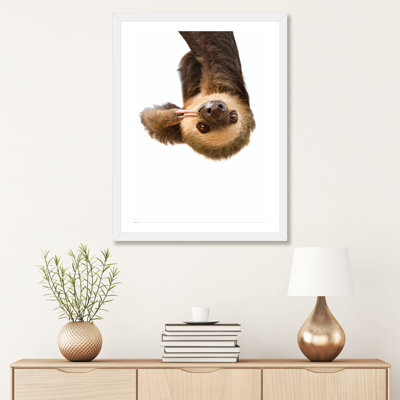 " Sloth " by Sisi & Seb