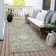  Machine Washable Indoor/Outdoor Chantille ACN1026 Rug