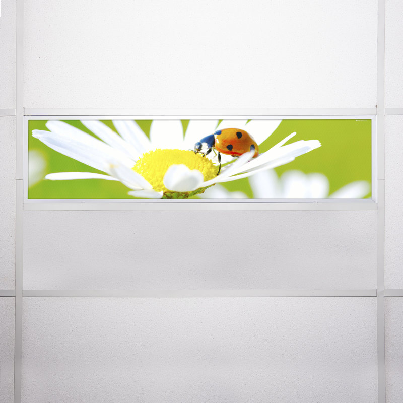 Flower Rectangle Fixture Component Ceiling Light