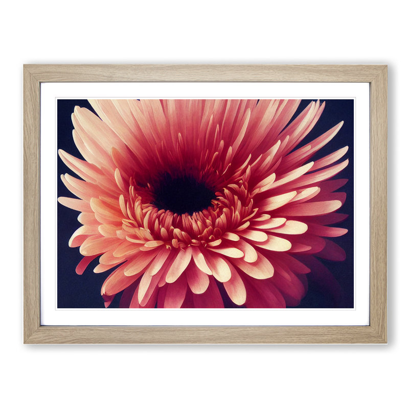 Inspiring Chrysanthemum Flower - Framed Print, 46cm H x 64cm W x 2cm D, Oak