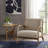 Lounge Chair, Comfort Chair-1760868395