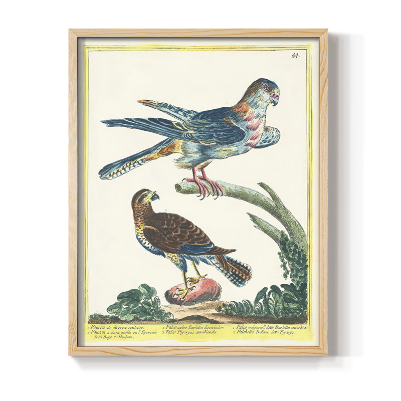 «Pastel Birds III», reproduction encadrée - bois massif, H 11 po x l 9 po