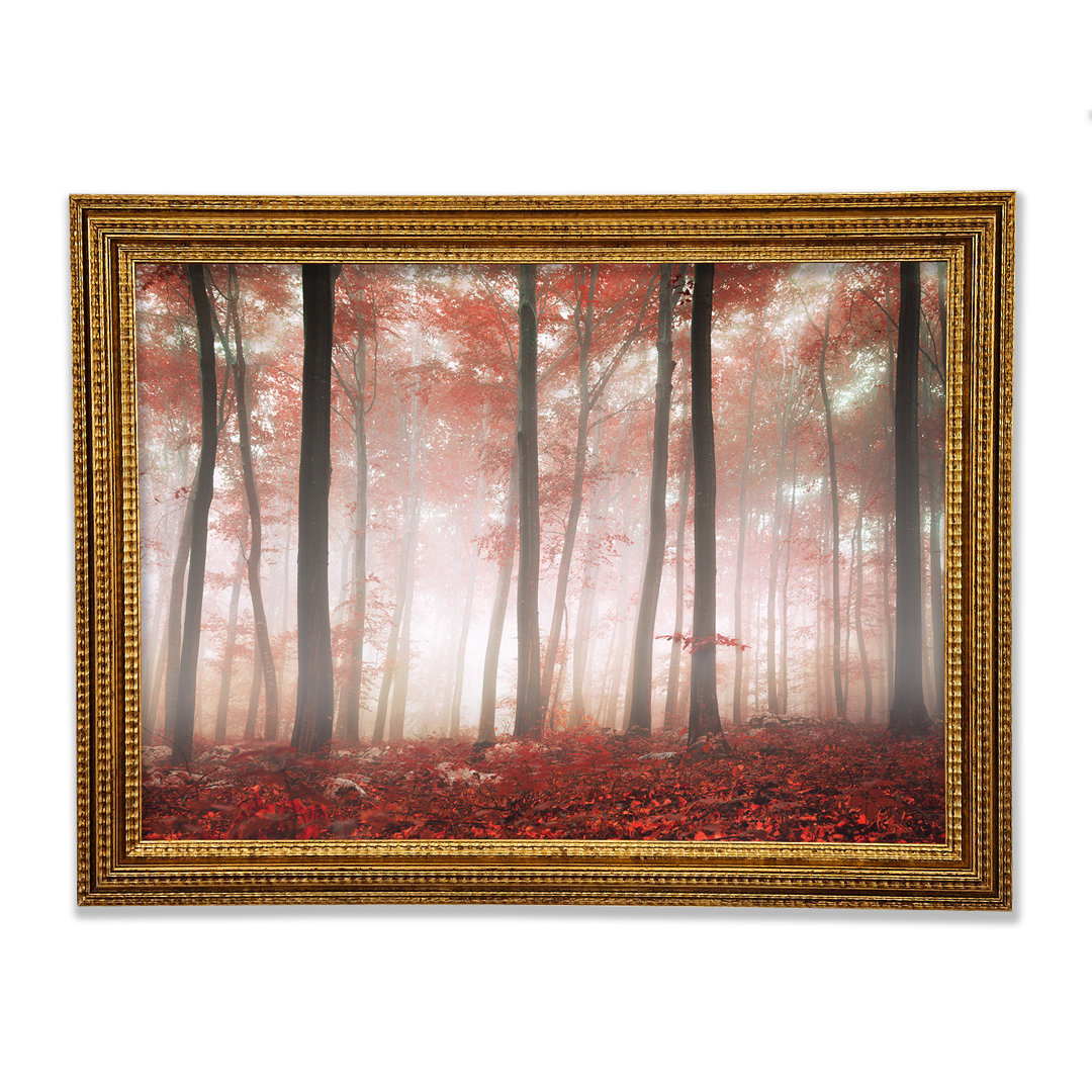 Red Misty Woods - Einzelner Bilderrahmen Kunstdrucke