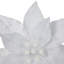 Choix de motif saisonnier Northlight