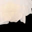 Fantine 7 - Light Chandelier-1160333212