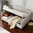 Upholstered Daybed with Underneath Storage-115599680