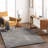 Khlani Kaja Southwestern Gray Shag Area Rug-83176112