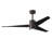 Ceiling Fan with LED Lights-82883359-1457520-5289485