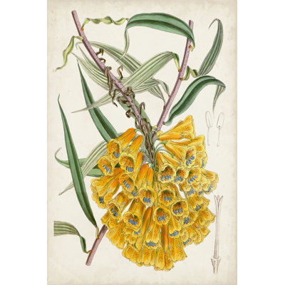 Delicate Tropicals VI par Curtis - peinture sur toile tendue