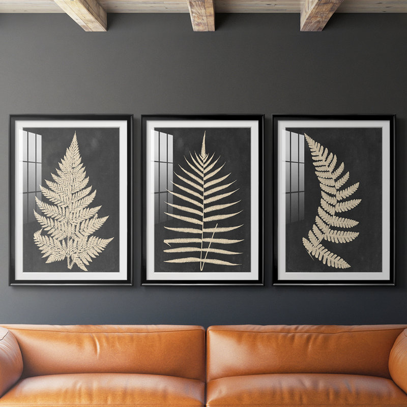 Lin fougère I - reproduction sur mesure encadrée de qualité supérieure mate - 3 pièces, H 21 po x l 30 po, Noir