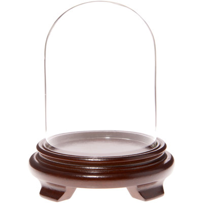 Keiarriyen 4" x 5.25" Glass Display Dome Cloche