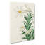 Lilies by Ohara Koson - Wrapped Canvas-55365517