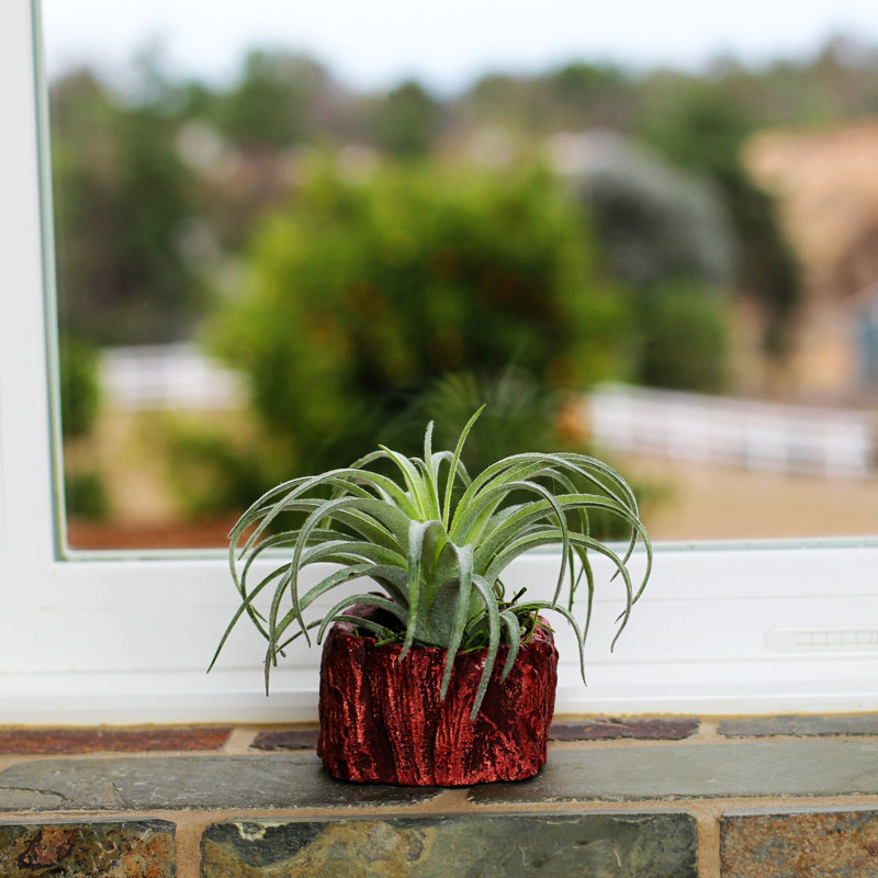 Kelch Ceramic Statue Planter, Red