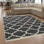 Huynh Oriental Area Rug-660359871