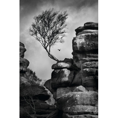 Rock Life - Wrapped Canvas Art Prints