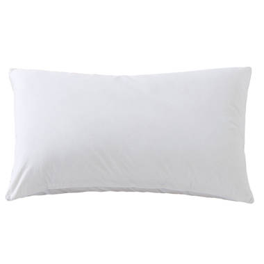 Alwyn Home Roisin Pillow Insert & Reviews