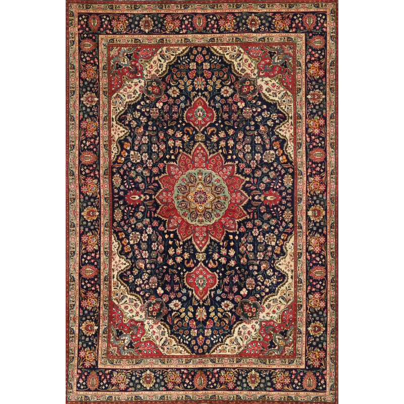 Haghni Oriental Indoor Rug, Rectangle 8' x 12'