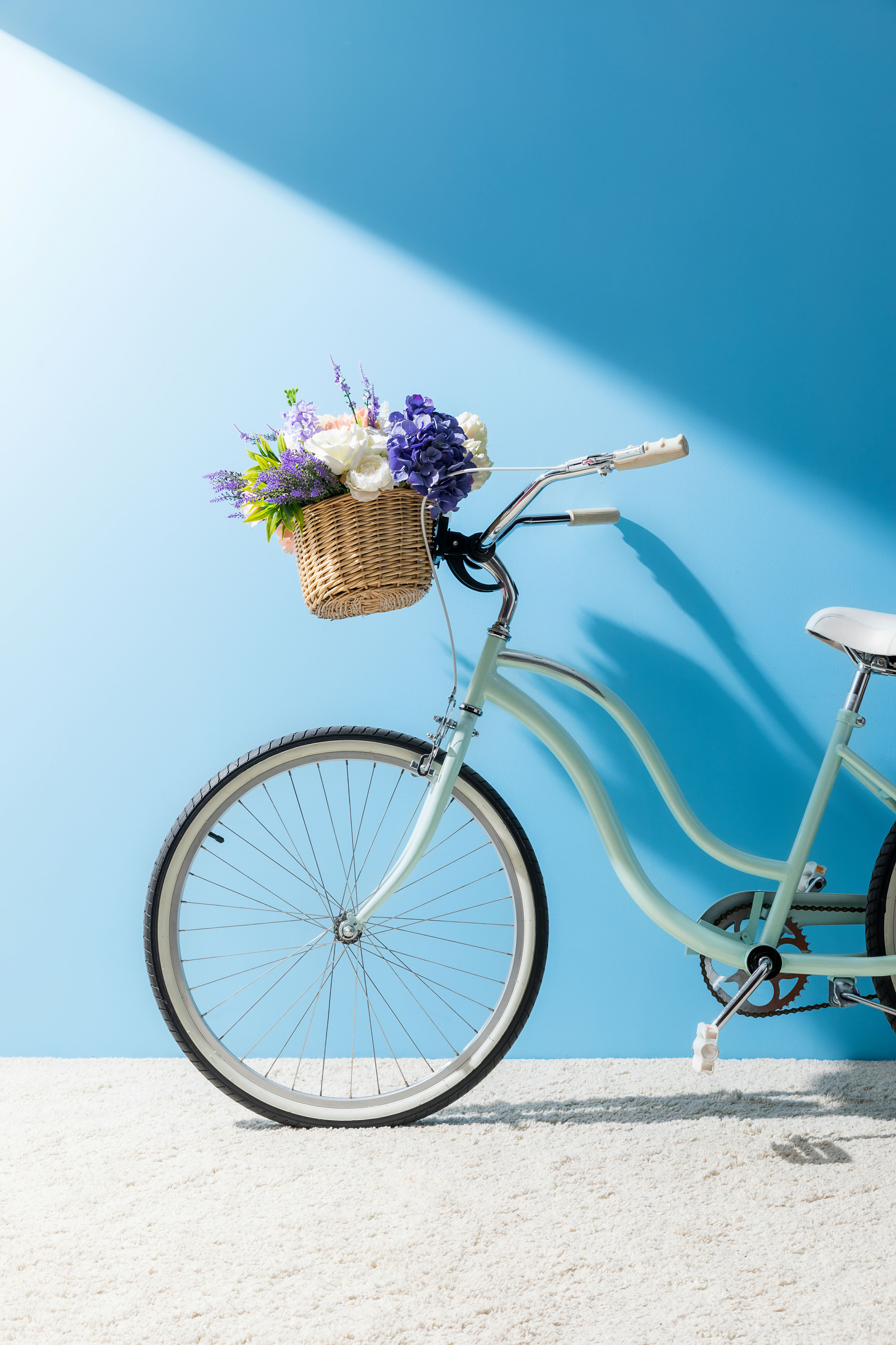 Wayfair bicycles best sale