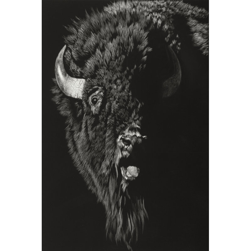 Wild Scratchboard IV by Julie T. Chapman - Wrapped Canvas Print, 91cm H x 61cm W