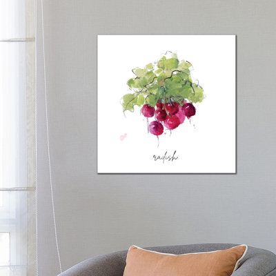 «S Croquis Kitchen Radish» par Sally Swatland - reproduction d'art