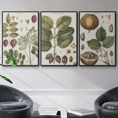 Ensemble de 3 cadres photo sur toile Antique Foliage and Fruit VI
