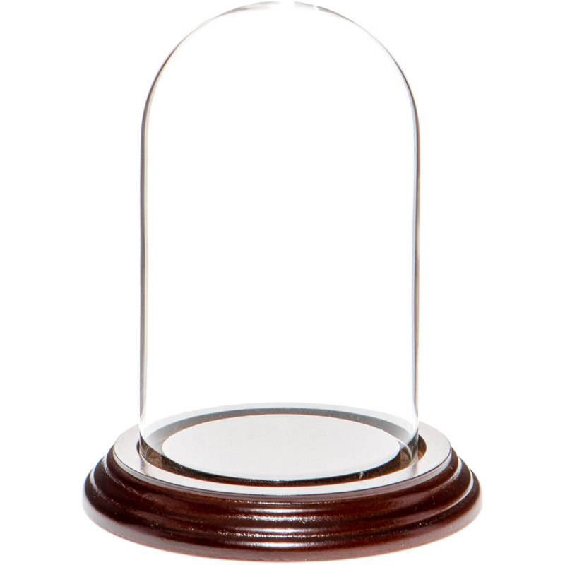 Cloche en verre 3 "x 5" Vucciria, Base en placage d'acajou foncé