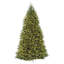 The Holiday Aisle® Dunhill Fir Tree with Clear Lights-34960029