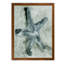 Aquatic i, reproduction d’art encadrée-1939253412-1939253417