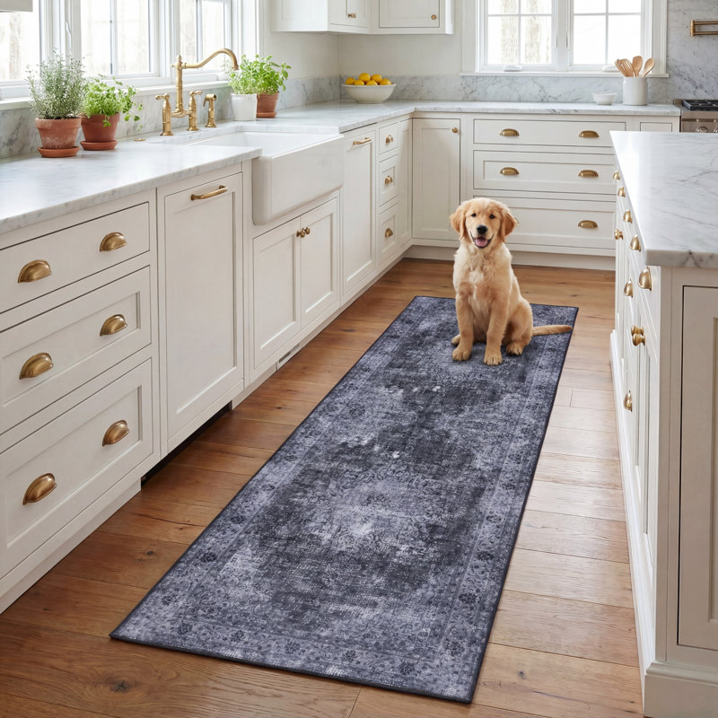 Akintomiwa Tucson Performance Machine Washable Oriental Rug, Runner 2'6" x 8'